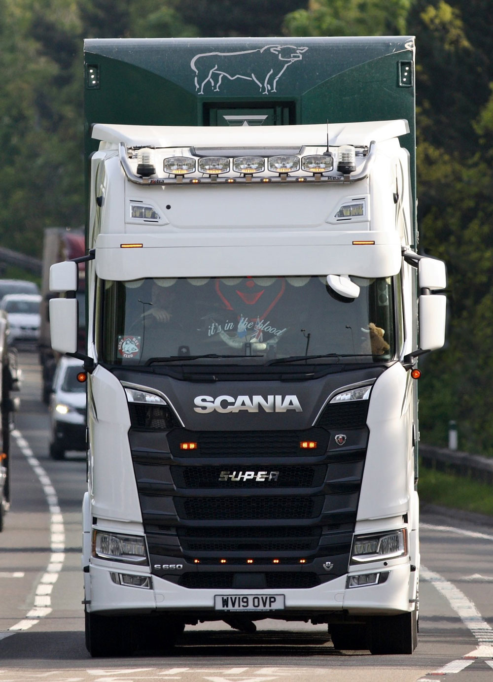 Sunvisor 35 cm for ALL Scania NG