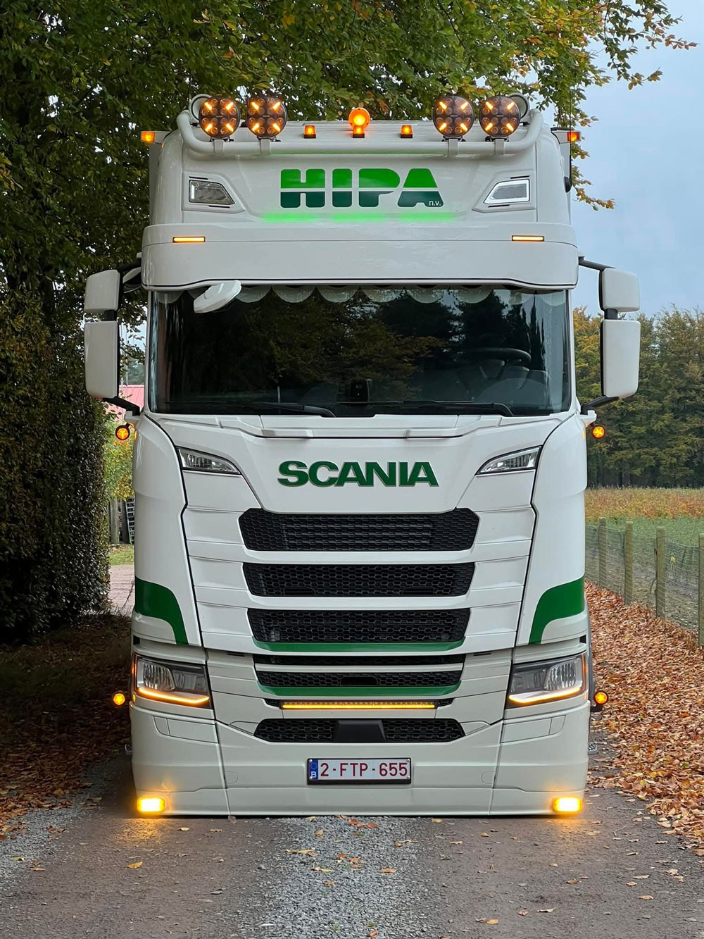 Sunvisor 35 cm for ALL Scania NG