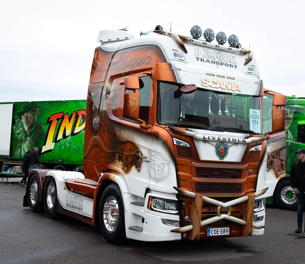 Sunvisor Bow for Scania NG