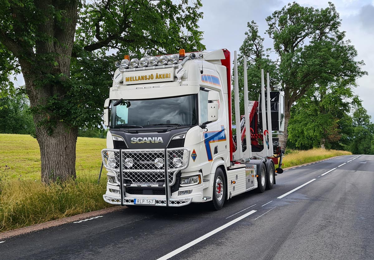 Sunvisor Bow for Scania NG