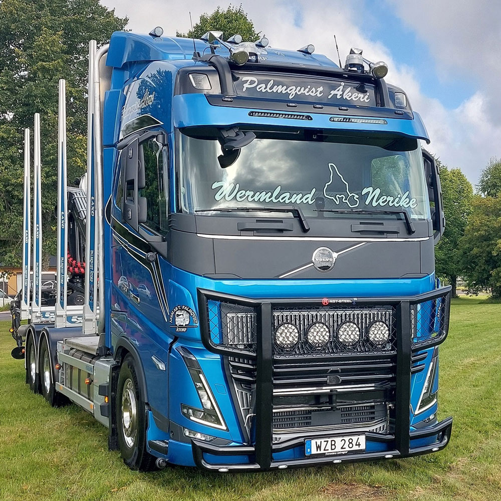 Sunvisor for Volvo FH/FM 4/5 and FMX
